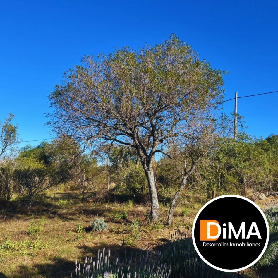 VENTA DE LOTE EN TIERRAS DEL SAUCE - VILLA GENERAL BELGRANO