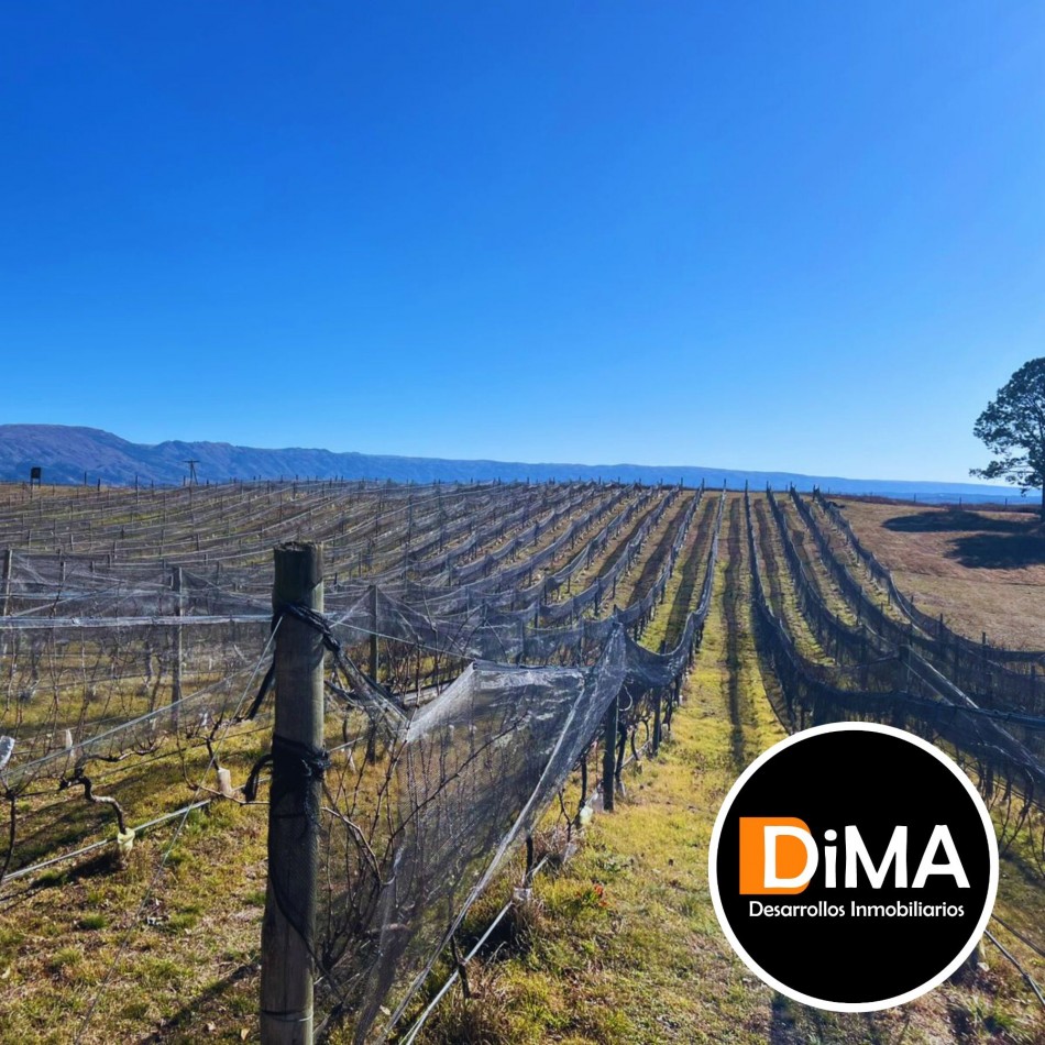 PROYECTO EN VENTA - CAMPO CON VIÑEDO, RESTAURANTE Y LOTES EN YACANTO DE CALAMUCHITA