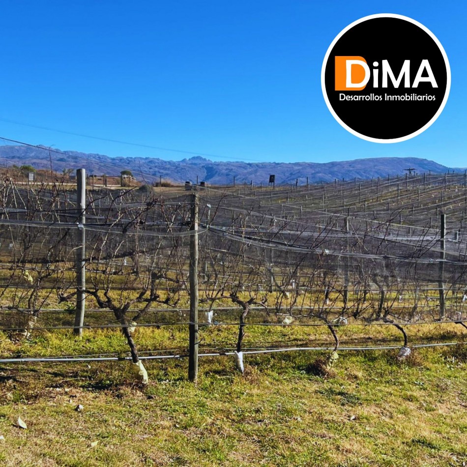 PROYECTO EN VENTA - CAMPO CON VIÑEDO, RESTAURANTE Y LOTES EN YACANTO DE CALAMUCHITA