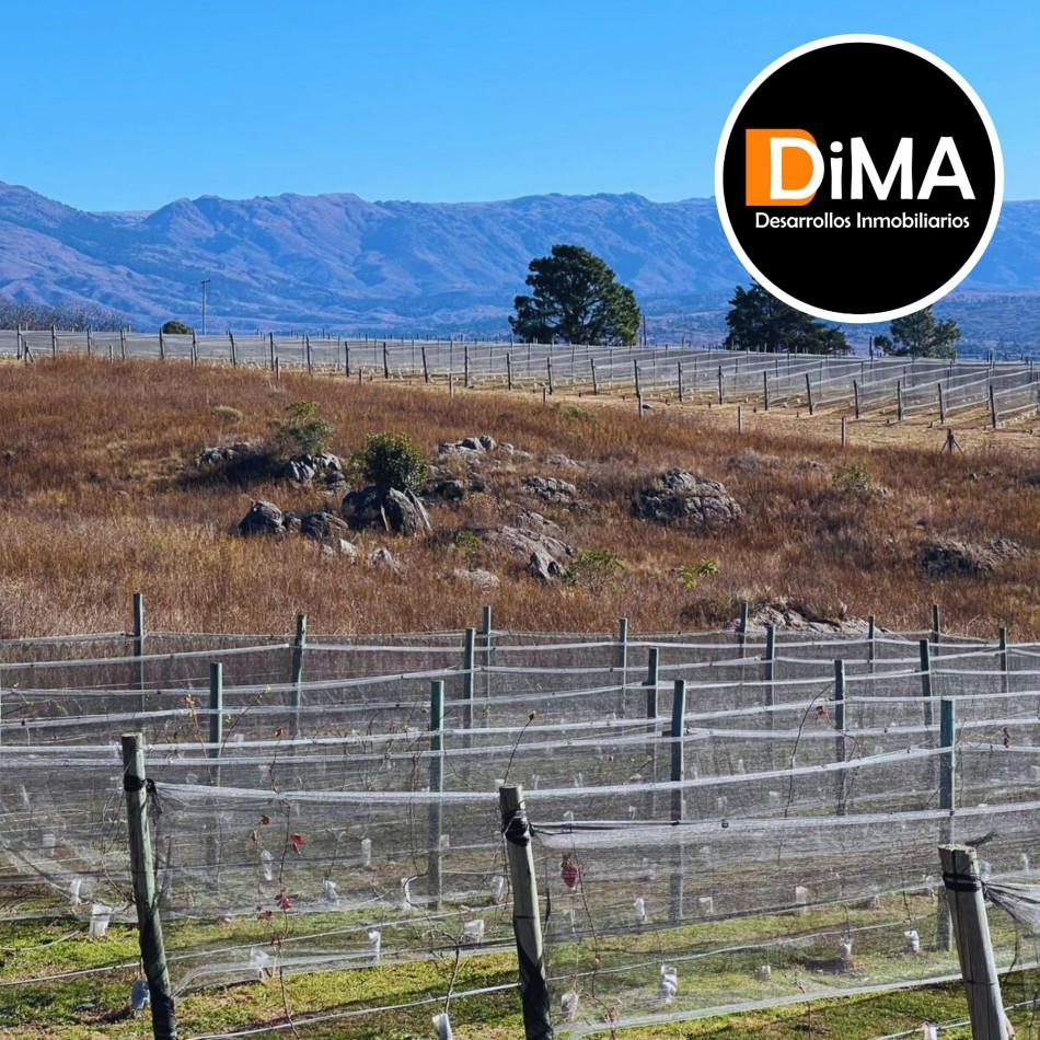 PROYECTO EN VENTA - CAMPO CON VIÑEDO, RESTAURANTE Y LOTES EN YACANTO DE CALAMUCHITA