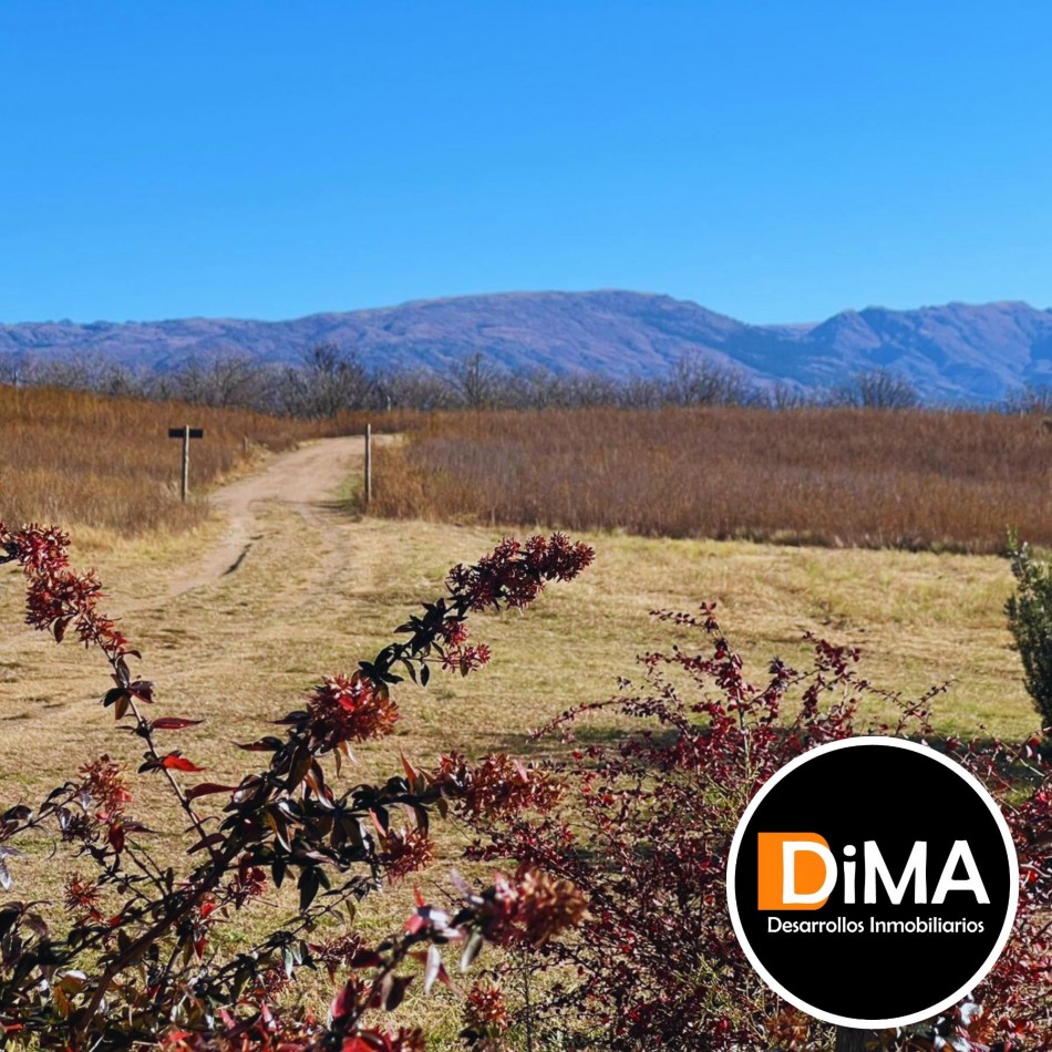 PROYECTO EN VENTA - CAMPO CON VIÑEDO, RESTAURANTE Y LOTES EN YACANTO DE CALAMUCHITA
