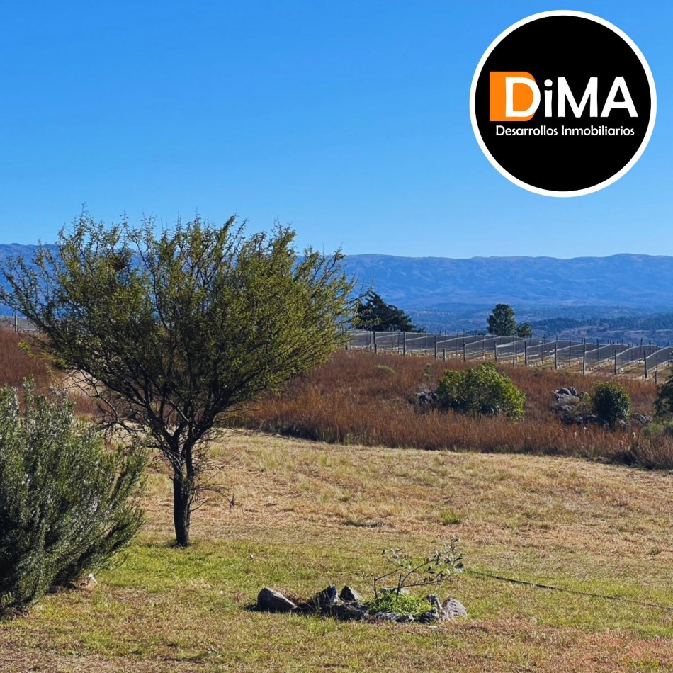 PROYECTO EN VENTA - CAMPO CON VIÑEDO, RESTAURANTE Y LOTES EN YACANTO DE CALAMUCHITA