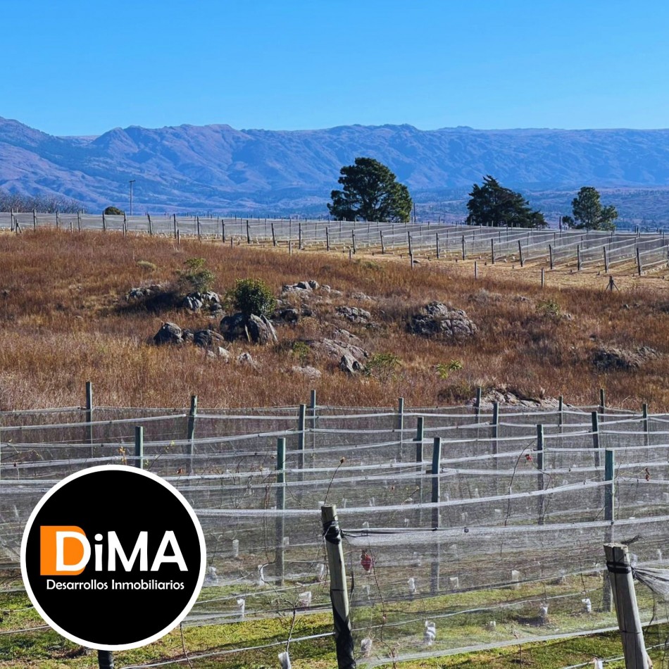 PROYECTO EN VENTA - CAMPO CON VIÑEDO, RESTAURANTE Y LOTES EN YACANTO DE CALAMUCHITA