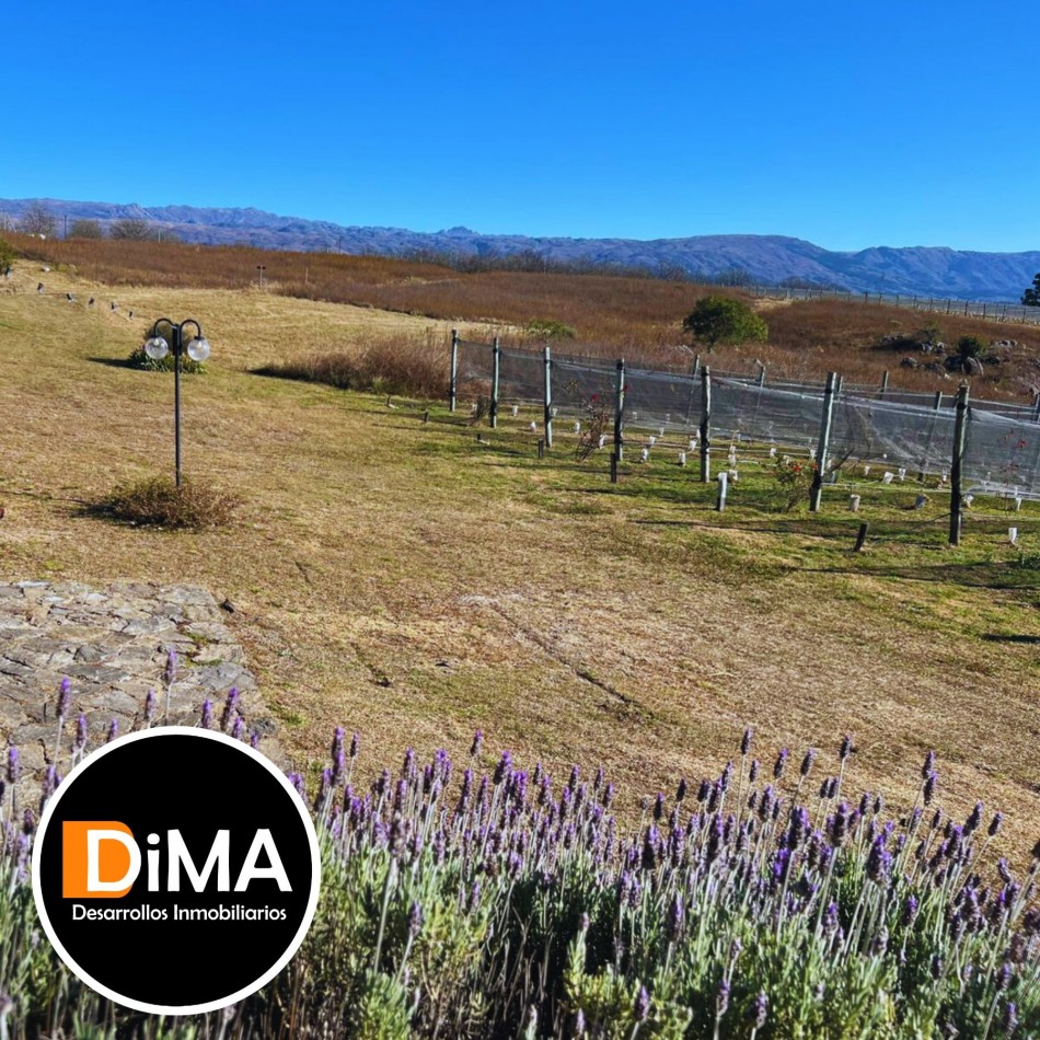 PROYECTO EN VENTA - CAMPO CON VIÑEDO, RESTAURANTE Y LOTES EN YACANTO DE CALAMUCHITA