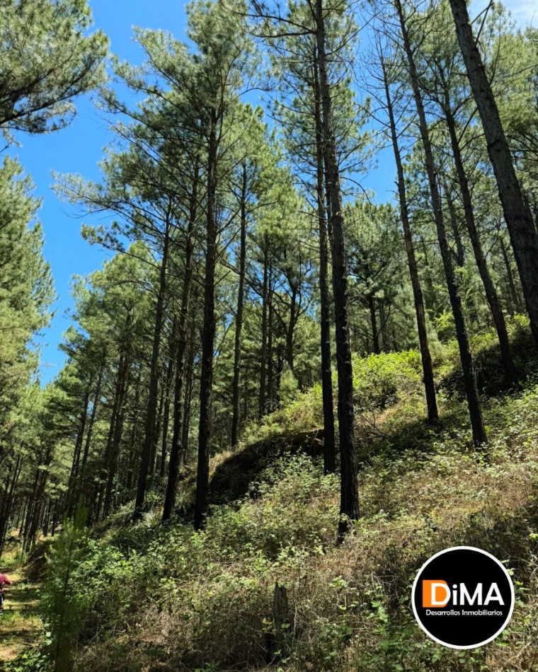 Lotes en Chacras de San Miguel