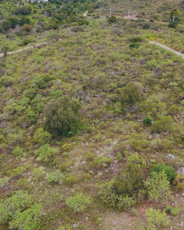 LOTE FINANCIADO DE 4.119 MTS EN TIERRAS DEL SAUCE - VILLA GENERAL BELGRANO