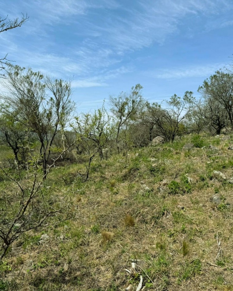 LOTE FINANCIADO DE 4.119 MTS EN TIERRAS DEL SAUCE - VILLA GENERAL BELGRANO