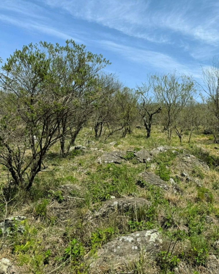 LOTE FINANCIADO DE 4.119 MTS EN TIERRAS DEL SAUCE - VILLA GENERAL BELGRANO