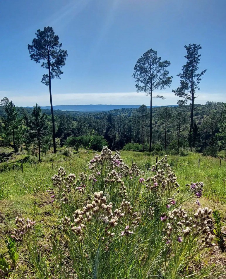 LOTES EN INTIYACO - LOTEO LOS BAGUALES