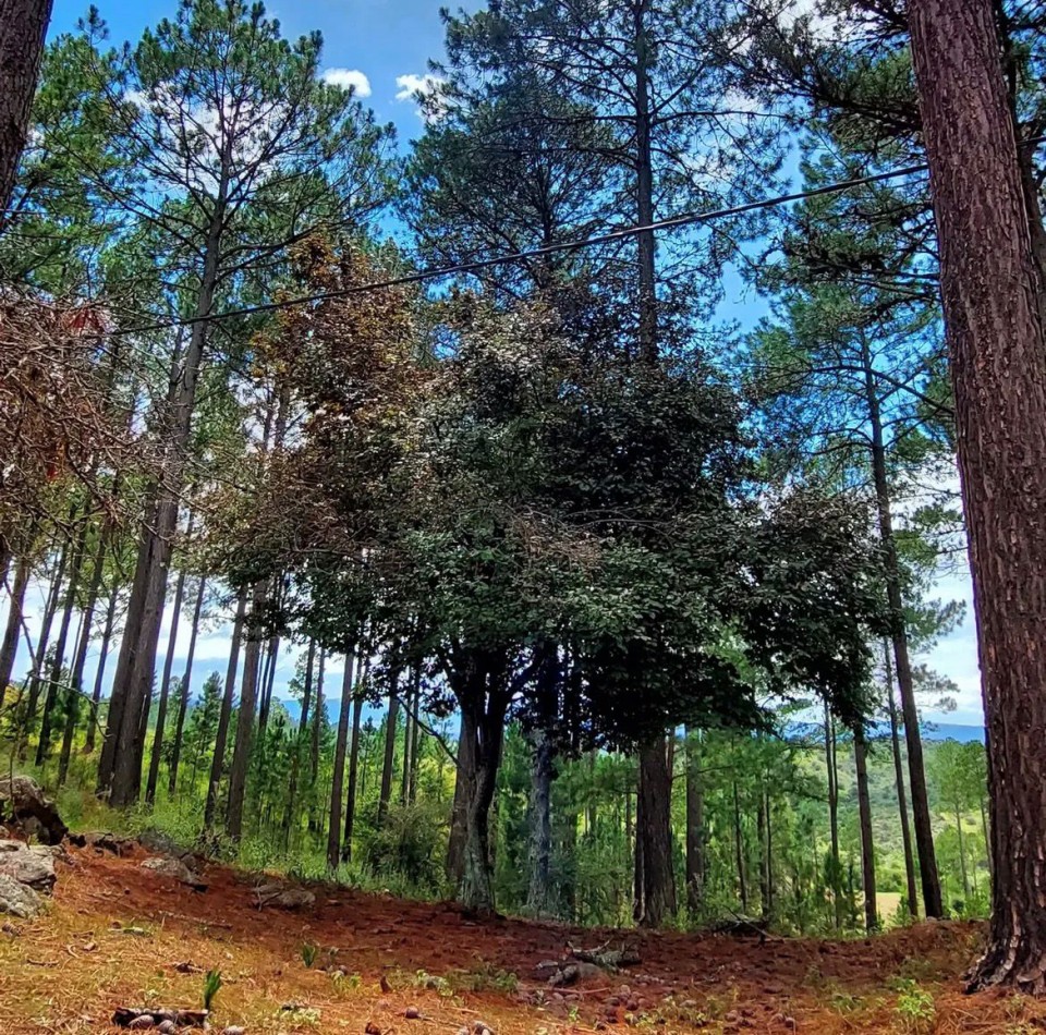 LOTES EN INTIYACO - LOTEO LOS BAGUALES