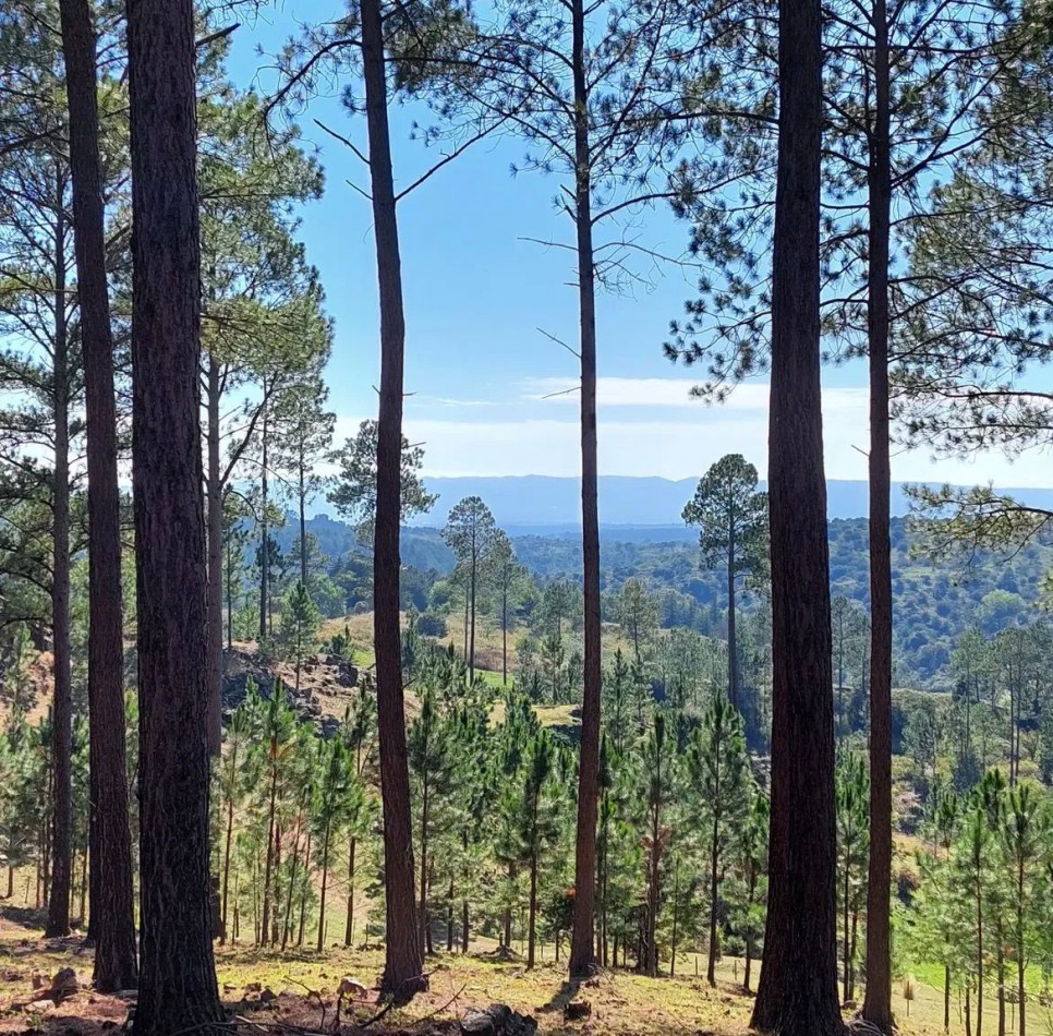 LOTES EN INTIYACO - LOTEO LOS BAGUALES
