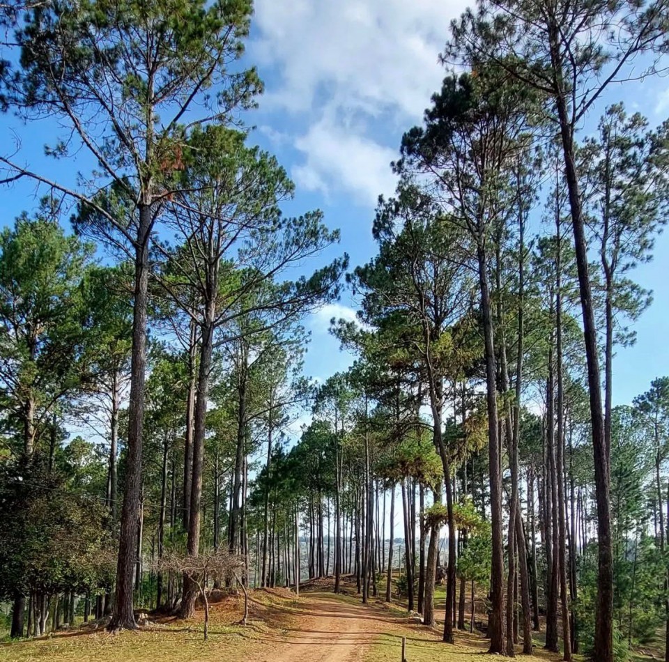 LOTES EN INTIYACO - LOTEO LOS BAGUALES