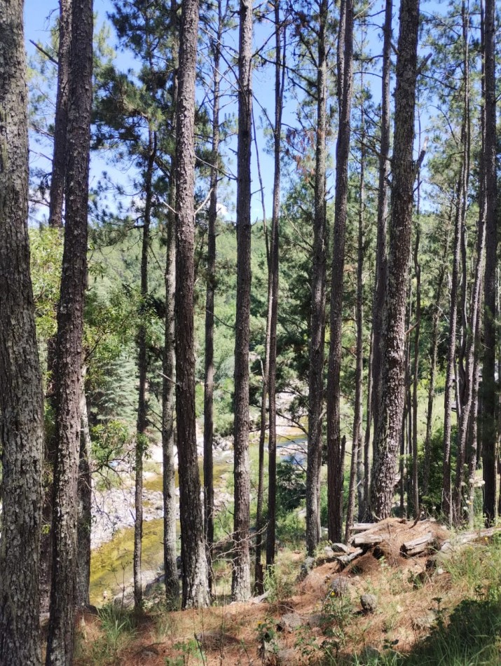 LOTES EN INTIYACO - LOTEO LOS BAGUALES