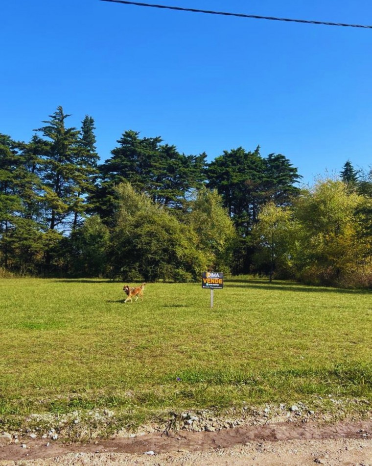 LOTE EN BRISAS DE TOTORALEJO - LOS REARTES