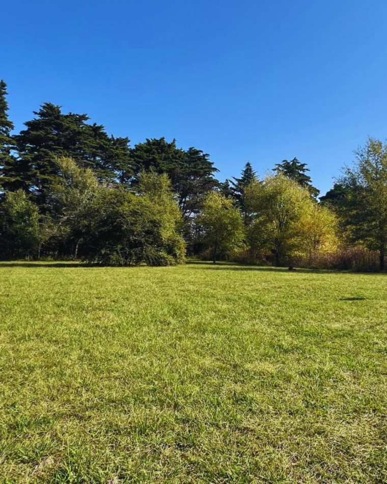 LOTE EN BRISAS DE TOTORALEJO - LOS REARTES