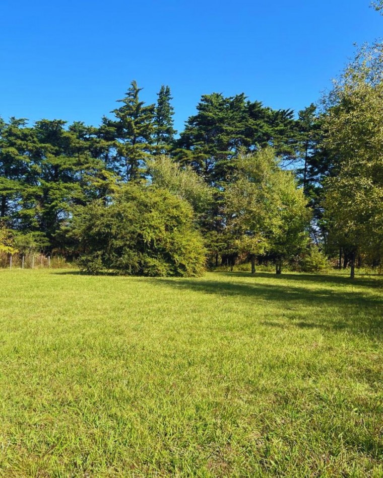 LOTE EN BRISAS DE TOTORALEJO - LOS REARTES