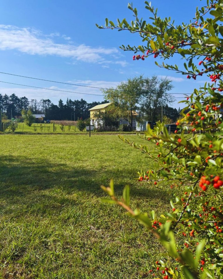 LOTE EN BRISAS DE TOTORALEJO - LOS REARTES