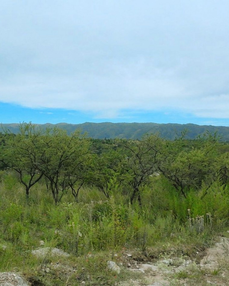 LOTE EN BARRIO TIERRAS DEL SAUCE CON COSTA DE ARROYO - VILLA GENERAL BELGRANO