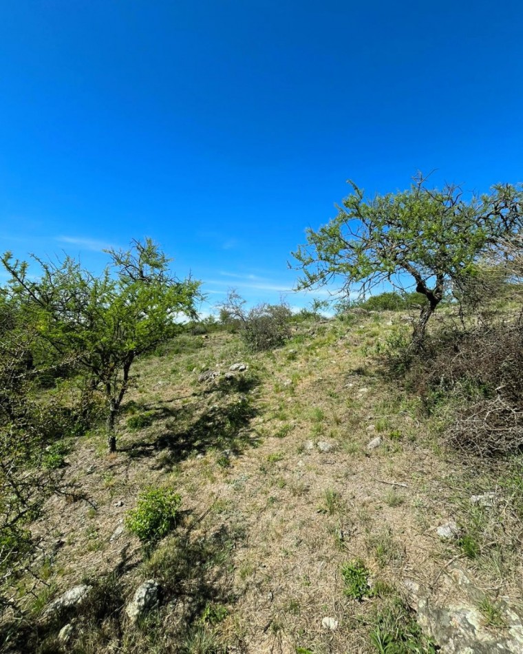 LOTE EN BARRIO TIERRAS DEL SAUCE CON COSTA DE ARROYO - VILLA GENERAL BELGRANO