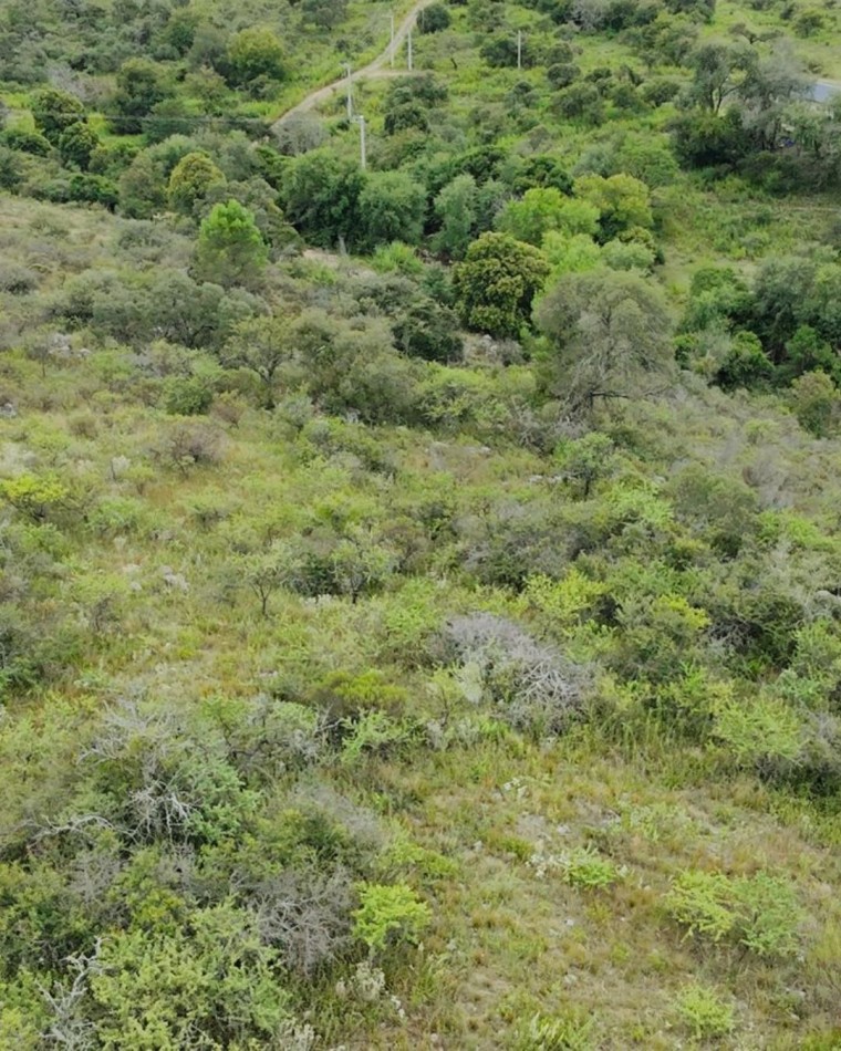 LOTE EN BARRIO TIERRAS DEL SAUCE CON COSTA DE ARROYO - VILLA GENERAL BELGRANO