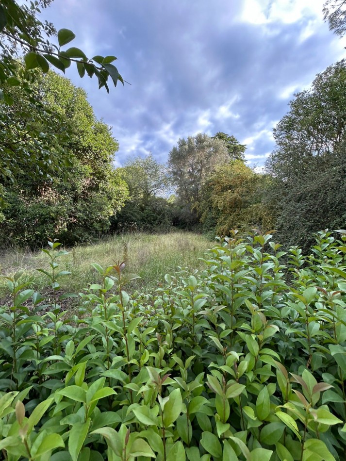 VENTA DE LOTE EN VILLA CIUDAD PARQUE - 560M2