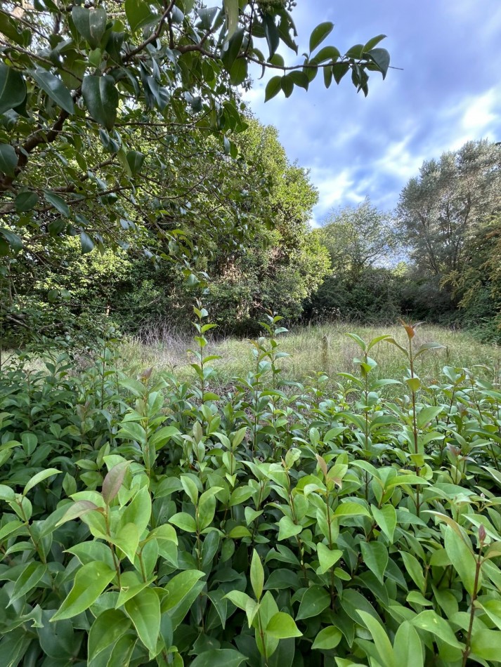 VENTA DE LOTE EN VILLA CIUDAD PARQUE - 560M2