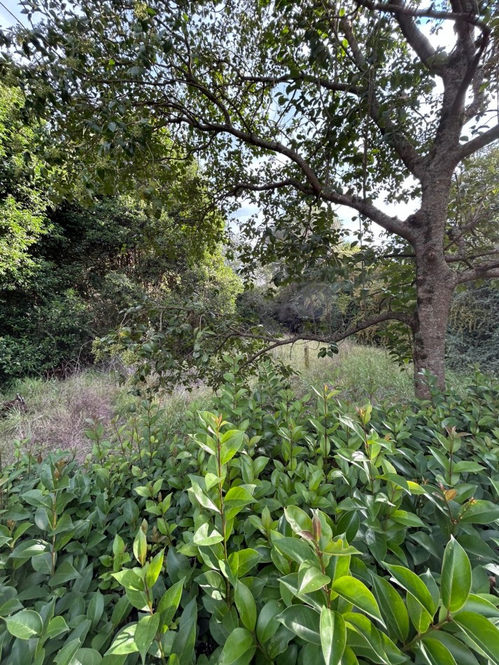 VENTA DE LOTE EN VILLA CIUDAD PARQUE - 560M2