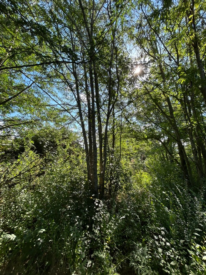 LOTE EN BARRIO GUTIERREZ 488M2 - LOS REARTES 