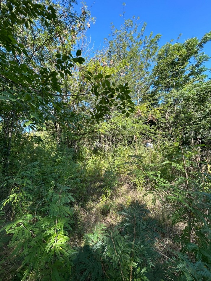 LOTE EN BARRIO GUTIERREZ 488M2 - LOS REARTES 