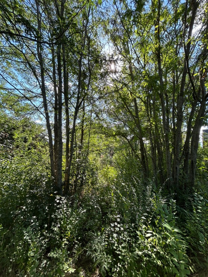 LOTE EN BARRIO GUTIERREZ 488M2 - LOS REARTES 