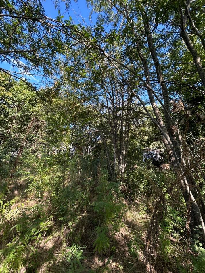 LOTE EN BARRIO GUTIERREZ 488M2 - LOS REARTES 