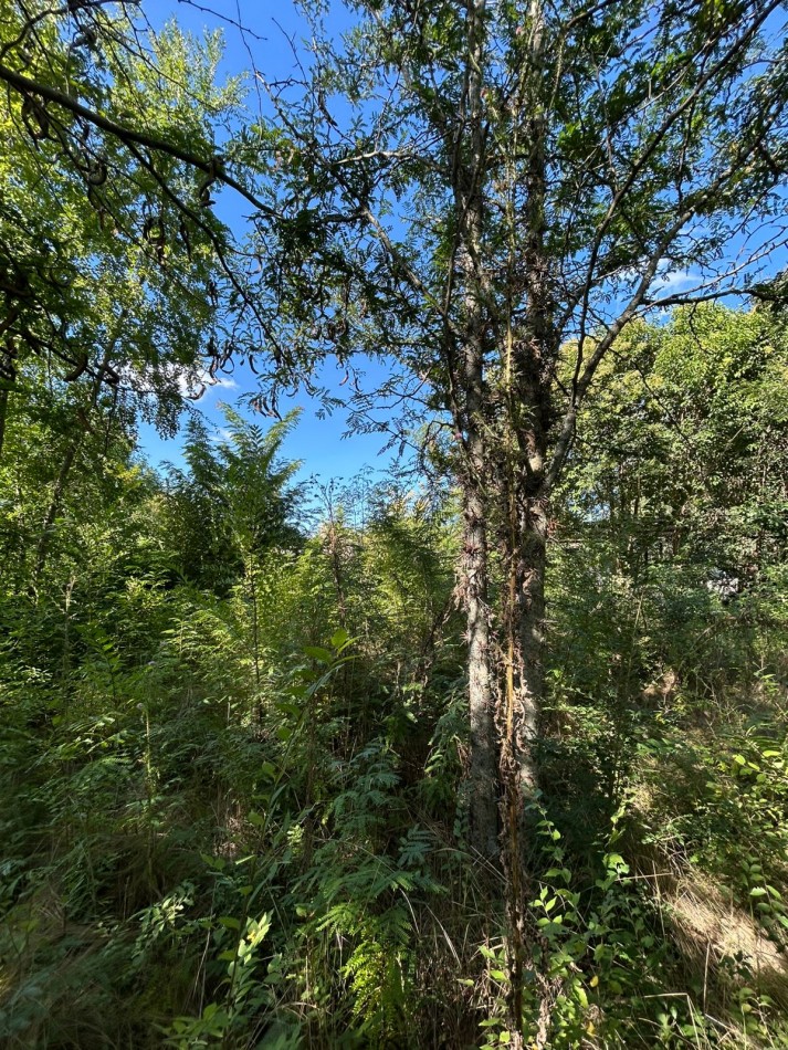 LOTE EN BARRIO GUTIERREZ 488M2 - LOS REARTES 