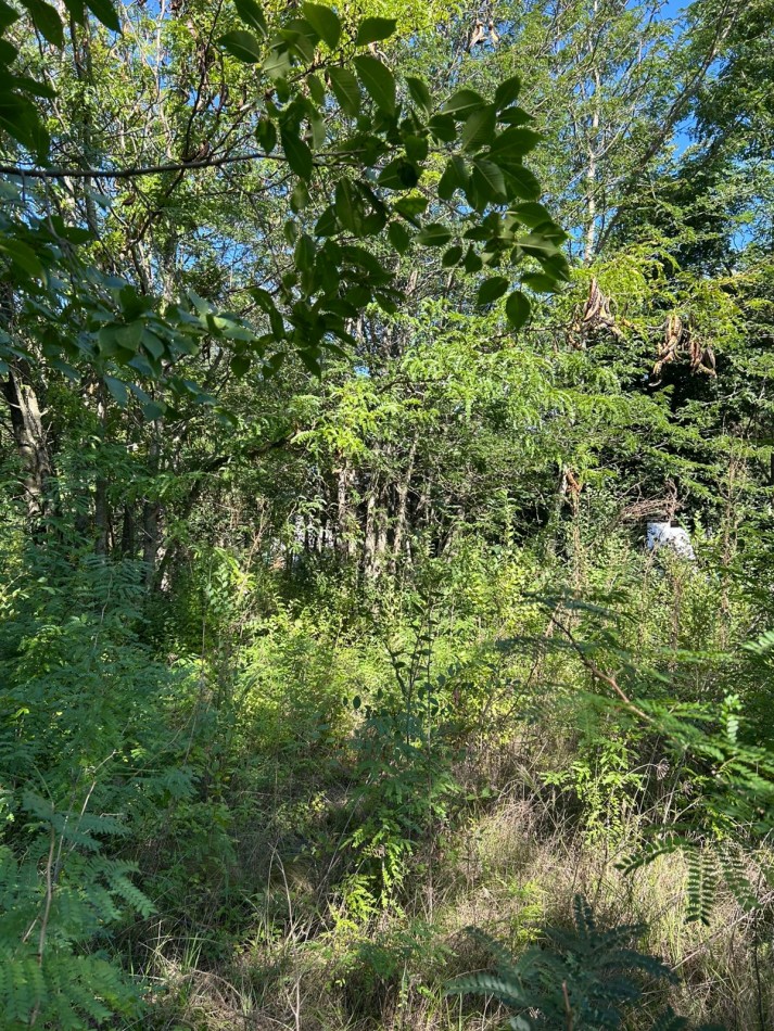 LOTE EN BARRIO GUTIERREZ 488M2 - LOS REARTES 