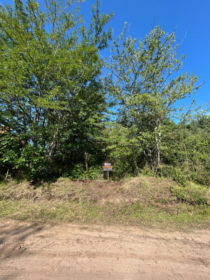 LOTE EN BARRIO GUTIERREZ 488M2 - LOS REARTES 