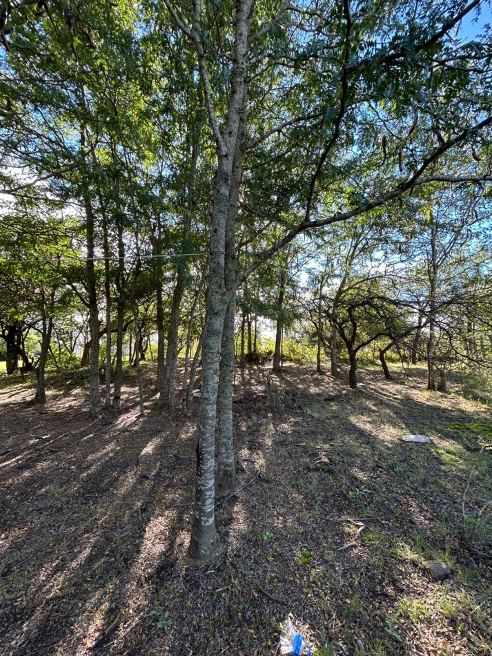 VENTA LOTE EN LA LOMA DE 1000M2 - LOS REARTES