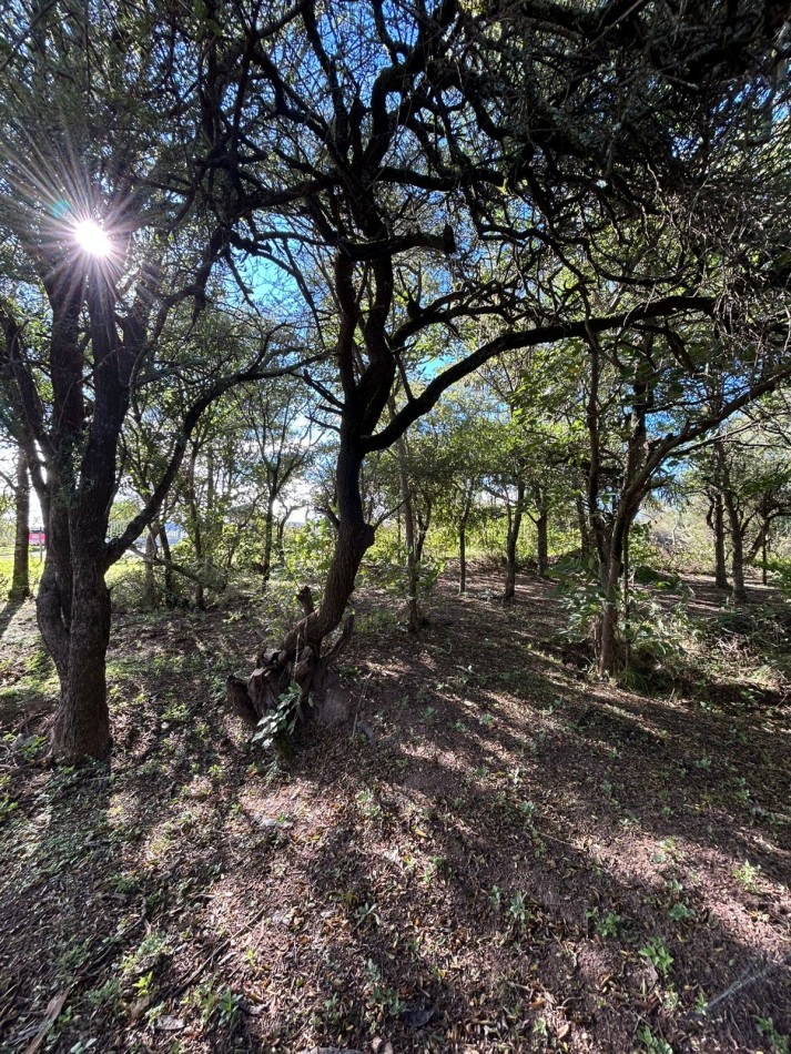 VENTA LOTE EN LA LOMA DE 1000M2 - LOS REARTES