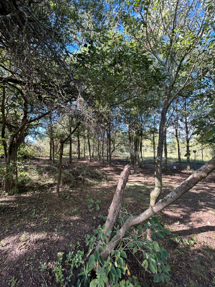 CASA EN VENTA LA LOMA - LOS REARTES