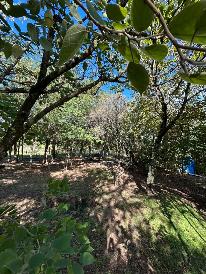 CASA EN VENTA LA LOMA - LOS REARTES