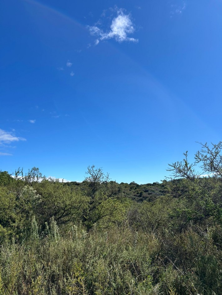 LOTE EN VENTA TIERRAS DEL SAUCE 4.120M2 - VILLA GENERAL BELGRANO