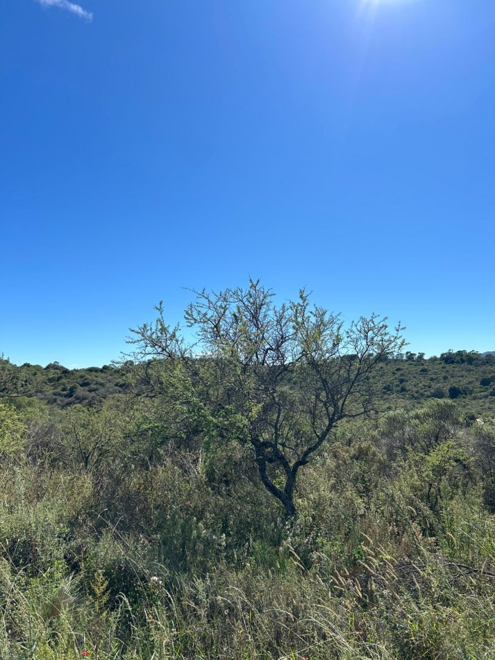 LOTE EN VENTA DE 8.241M2 - TIERRAS DEL SAUCE -  VILLA GENERAL BELGRANO