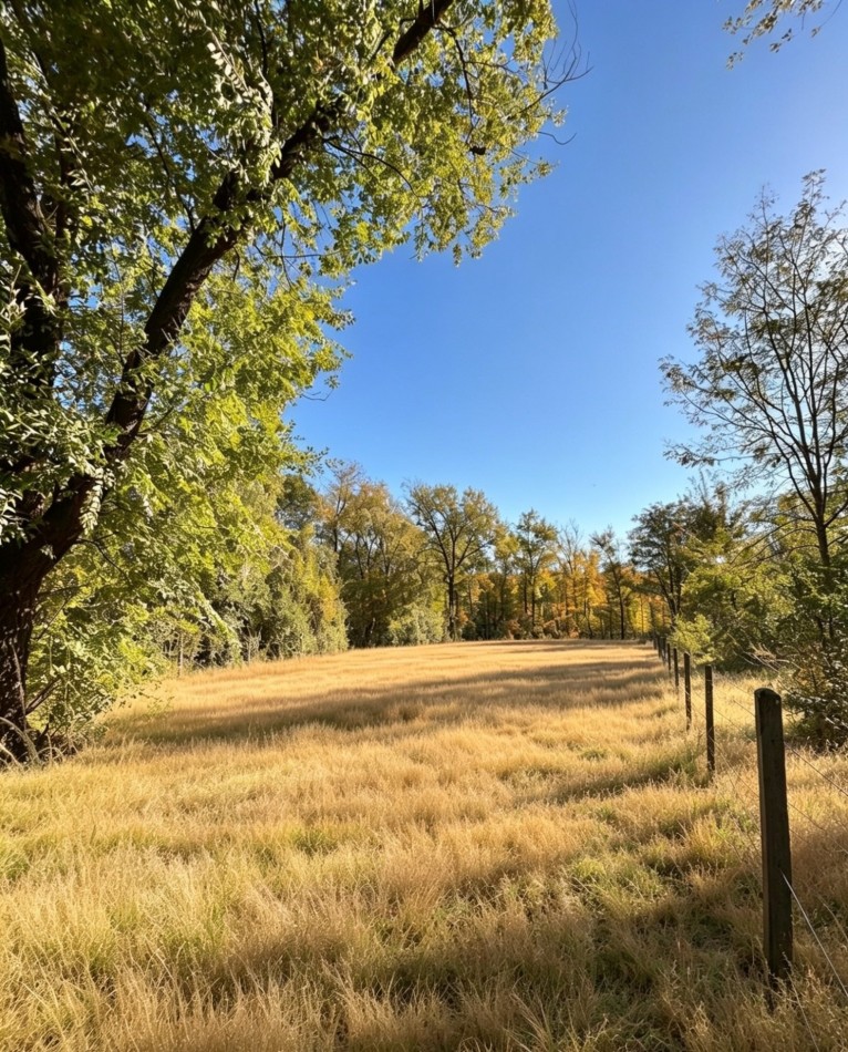 LOTE EN VENTA EN VILLA LA GLORIA - VILLA GENERAL BELGRANO