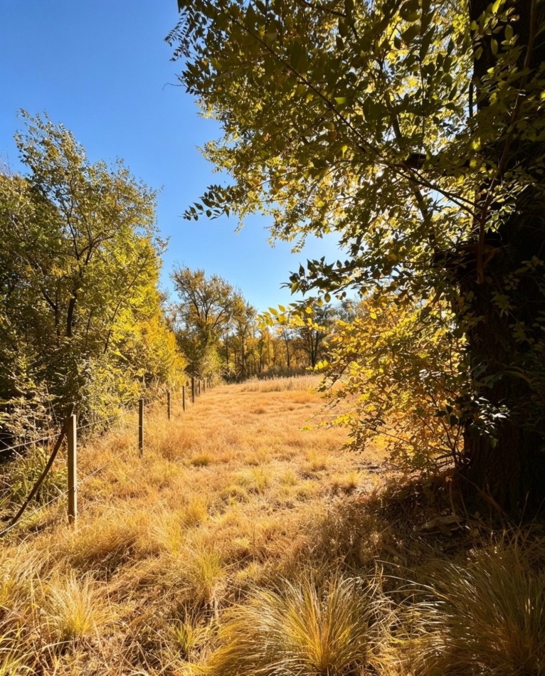 LOTE EN VENTA EN VILLA LA GLORIA - VILLA GENERAL BELGRANO