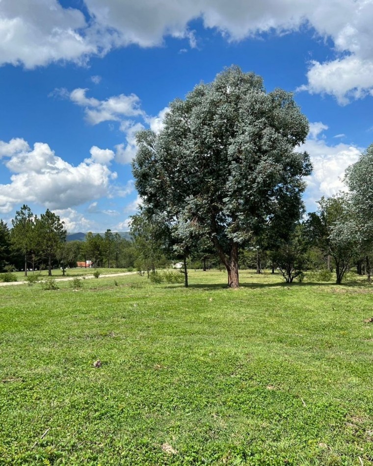 VENTA - LOTEO SIENA - CAPILLA VIEJA, LOS REARTES