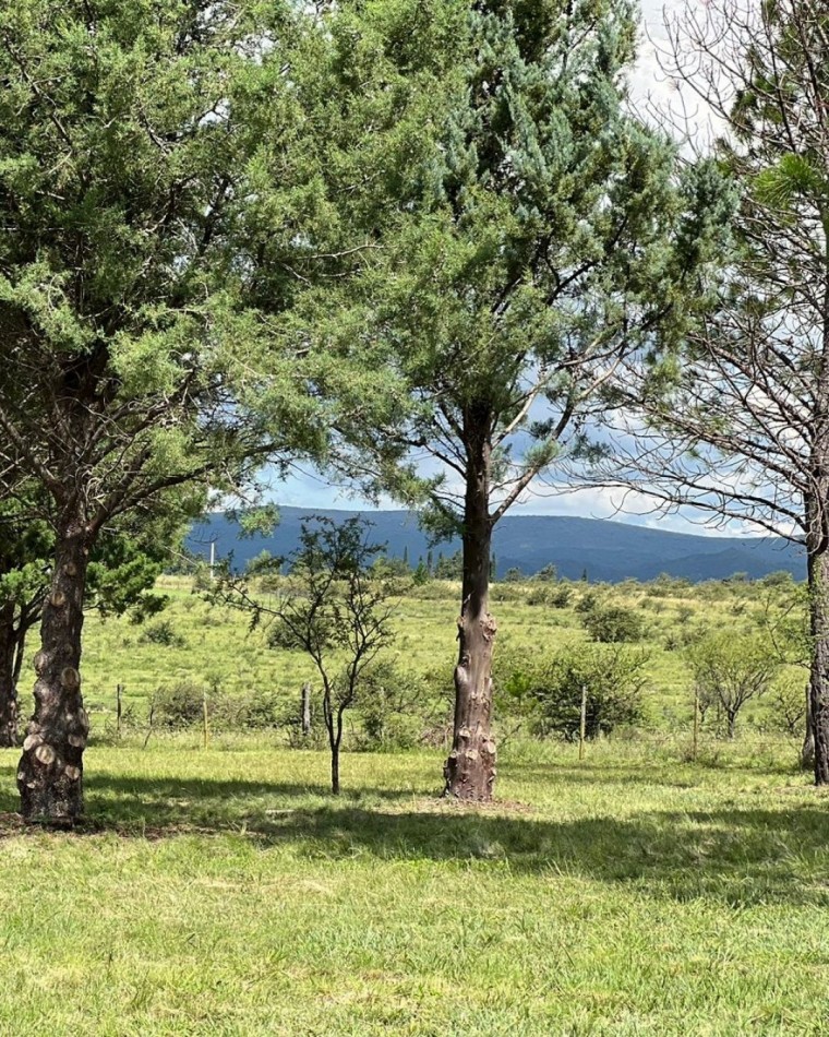 VENTA - LOTEO SIENA - CAPILLA VIEJA, LOS REARTES