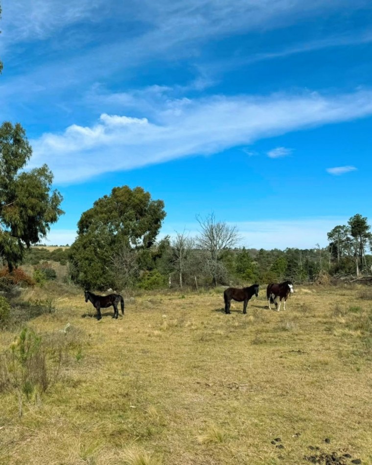 PARCELAS EN ATOS PAMPA