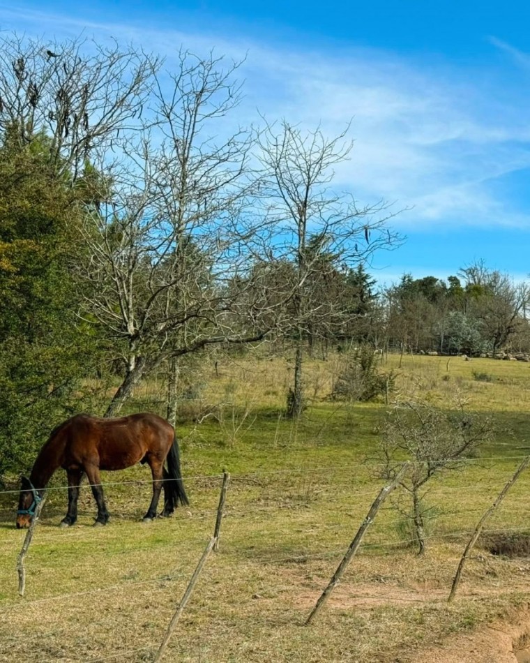 PARCELAS EN ATOS PAMPA