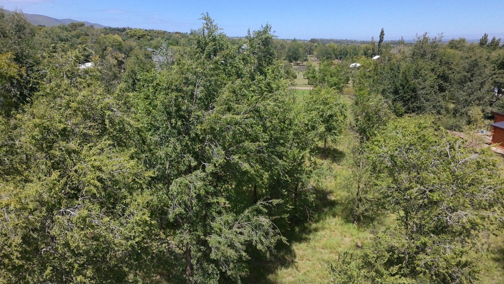  VENTA DE LOTE EN SOLAR DE LOS MOLINOS - 782M2