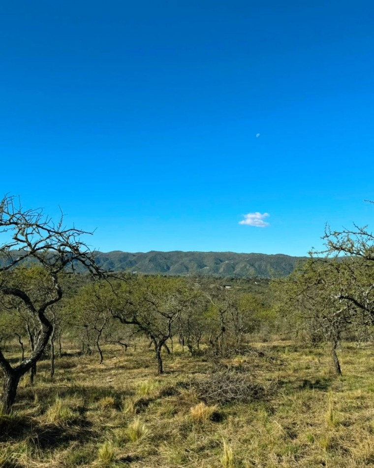 VENTA DE LOTE EN TIERRAS DEL SAUCE