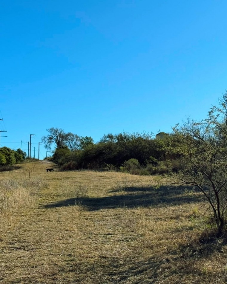 VENTA DE LOTE EN TIERRAS DEL SAUCE