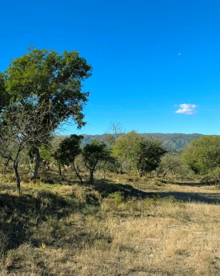VENTA DE LOTE EN TIERRAS DEL SAUCE